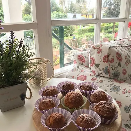 Szálloda Il Miraggio Fregene