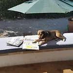 Il Miraggio Fregenae
