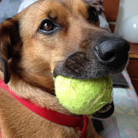 Il Miraggio 3* Fregenae