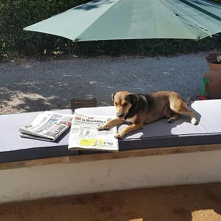 Il Miraggio Fregenae
