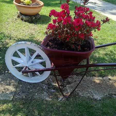 Il Miraggio 3* Fregenae